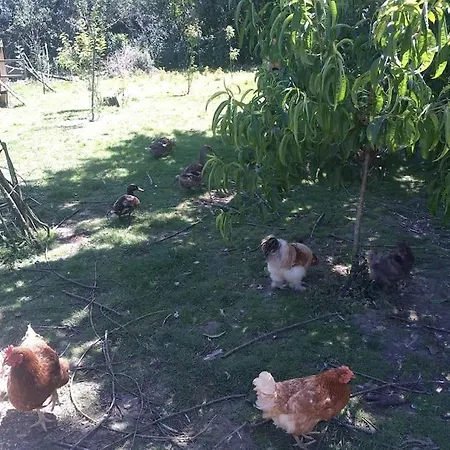 別荘 Les Fees - 6 Personnes Maxi Grand-Landes