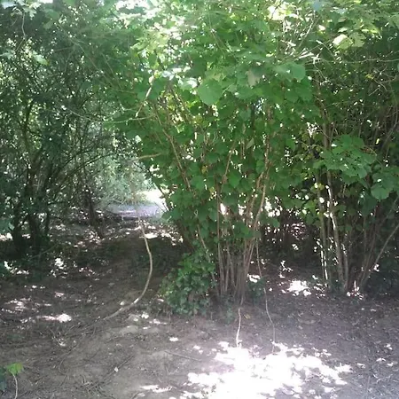 別荘 Les Fees - 6 Personnes Maxi Grand-Landes