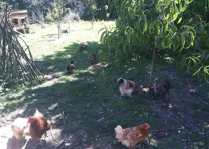 Ferienhaus Les Fees - 6 Personnes Maxi Grand-Landes