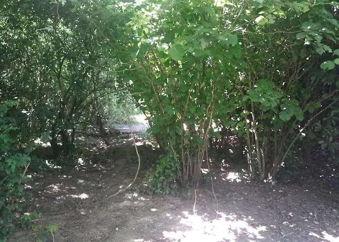 Ferienhaus Les Fees - 6 Personnes Maxi Grand-Landes